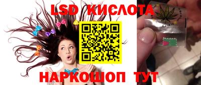 эйфоретик Будённовск