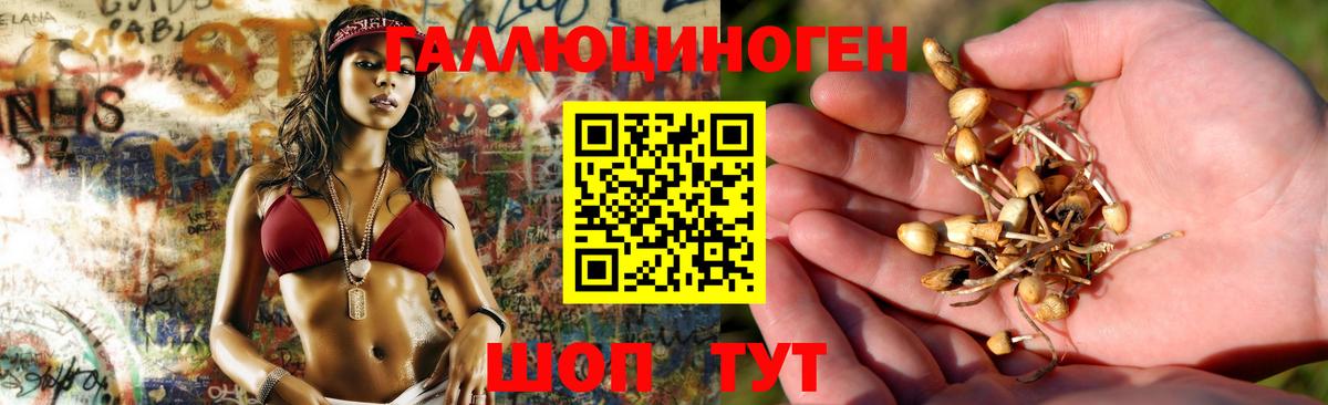 Галлюциногенные грибы прущие грибы  Вход с VPN  Раменское 